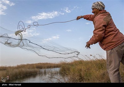 ماهیگیری در حاشیه جاده شادگان - اهواز