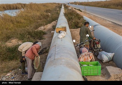 ماهیگیری در حاشیه جاده شادگان - اهواز