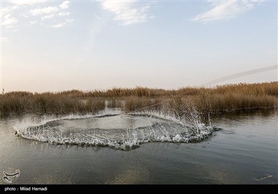 ماهیگیری در حاشیه جاده شادگان - اهواز