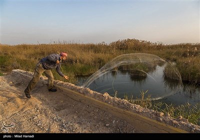 ماهیگیری در حاشیه جاده شادگان - اهواز