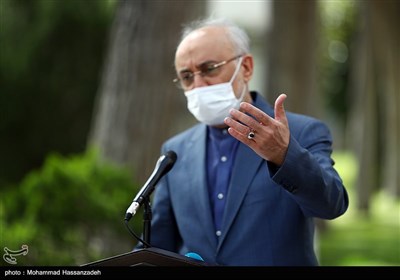 علی‌اکبر صالحی رئیس سازمان انرژی اتمی در حاشیه جلسه هیئت دولت 