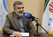 کمالوندی: امسال 40 تن کیک زرد تولید می‌کنیم