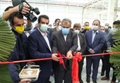 پشتیبانی از واحدهای تولیدی از برنامه های اصلی بانک رفاه کارگران است