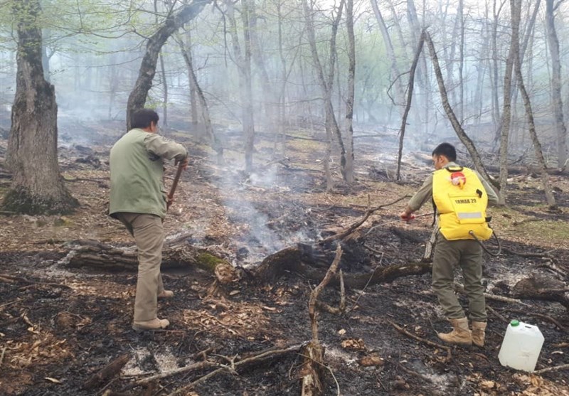 آتش‌سوزی در منطقه حفاظت شده لوه پارک ملی گلستان مهار شد