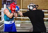 بوکس قهرمانی آسیا| رویارویی شاگردان استکی با حریفانی قدرتمند/ 5 بوکسور ایران در روز نخست روی رینگ می‌روند