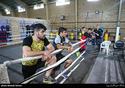 تمرین تیم ملی بوکس ایران