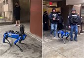 New Yorkers Freak Out As NYPD Deploys ‘Weaponized Robot’ (+Video)