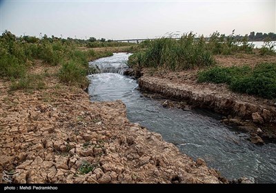 کاهش ورودی آب به رودخانه کارون و ساحل سازی اشتباه باعث شده تا جلوه زیبای کارون از بین برود