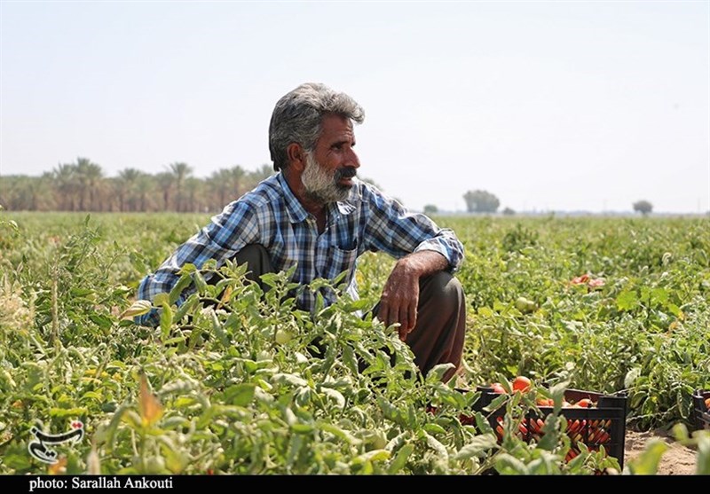 7 هزار میلیارد تومان از جرائم بانکی کشاورزان در استان کرمان بخشیده شد