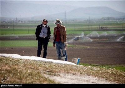 کاوش باستانی در قباق تپه کرمانشاه