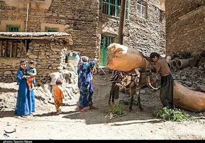 روایت تسنیم از محرومیت منطقه "شوارز" در لردگان/ اینجا نه آب هست، نه جاده، نه اینترنت، نه مدرسه