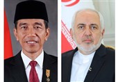 ظریف با رئیس‌جمهور اندونزی دیدار کرد