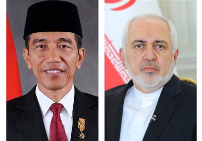  ظریف با رئیس‌جمهور اندونزی دیدار کرد 