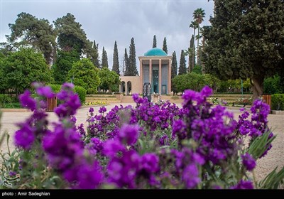 بمناسبت یکم اردیبهشت روز بزرگداشت سعدی شیرازی