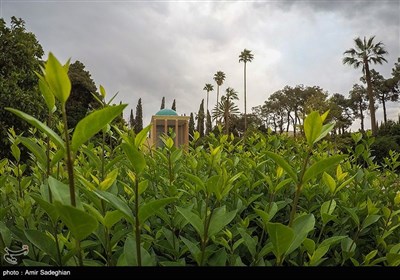 بمناسبت یکم اردیبهشت روز بزرگداشت سعدی شیرازی