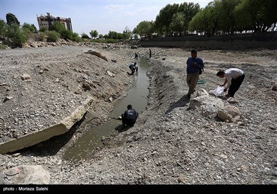 مرگ هزاران ماهی در زاینده روداصفهان