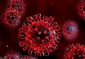 Coronavirus Pandemic May End Soon, Virus to Stay, Russia’s Top Sanitary Doctor Says