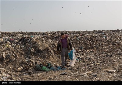 دپوی زباله درمجاورت تالاب شادگان