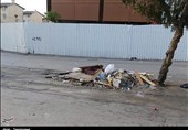 واکنش شهرداری سنندج به گزارش تسنیم؛ طرح فرهنگسازی جمعآوری زباله را اجرا میکنیم