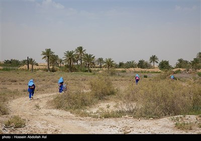 تدریس معلمین در روستاهای محروم شادگان