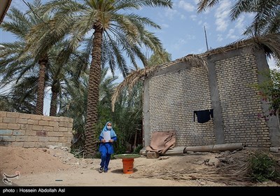 تدریس معلمین در روستاهای محروم شادگان