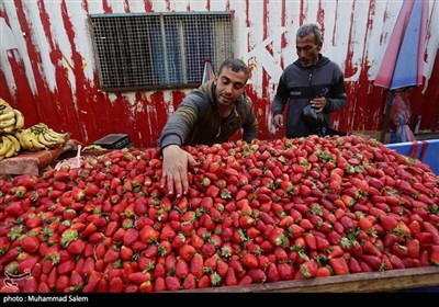 Muslims Observe Ramadhan in Palestine