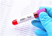 هورمون آنتی مولرین (AMH) و نقش آن در باروری