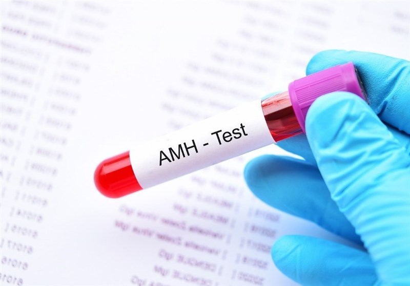 هورمون آنتی مولرین (AMH) و نقش آن در باروری
