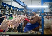 تامین کسری مرغ استانها از محل ذخایر استراتژیک