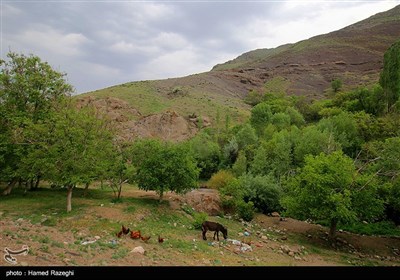 آبشار گله خانه - ابهر