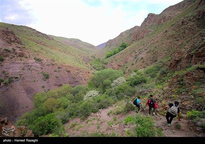 مسیر منتهی به آبشار از میان روستای زیبای کوله خانه گذشته و با عبور از میان صخره ها به آبشار می رسد. راه دسترسی به آبشار خاکی بوده و​ کمی صعب العبور است.