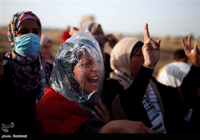 مبارزه جنبش‌های مقاومتی مردم فلسطین در برابر خشونتهای رژیم صهیونیستی