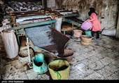 افزایش 25 درصدی تولید چای کشور در 5 ماهه امسال