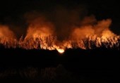 دود زمین سوخته به چشم مردم و کشاورزان / آتش زدن زمین‌های کشاورزی به چه قیمتی؟