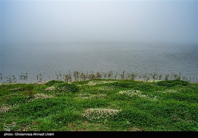 پیرامون دریاچه را جنگل‌های پهن‌برگ فرا گرفته که در بهار رویشگاه گل بنفشه و الزی (پیازچهٔ وحشی) و گونه‌های سبزی‌های خوش رایحه و داروئی می‌باشد. در تابستان رودخانه‌ای که در آن‌سوی دریاچه روانست آبی گوارا برای نوشیدن تأمین می‌کند. در پائیز درختچه‌های ازگیل و ولیک و تلکا محصول می‌دهند. در فصل زمستان محل سکونت اردک‌های وحشی می‌باشد و سال‌های اخیر با رهاسازی ماهی در این دریاچه کاربردهای آن افزایش پیدا کرده‌است.درخت‌های مهمی به نام راش ، ممرز ، بلوط ، ملچ و نمدار پیرامون این دریاچه را فرا گرفته‌اند که از نظر زیبایی اهمیت به‌سزایی دارند.