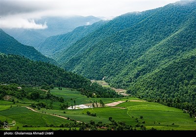 در مسیر بهار -ساری