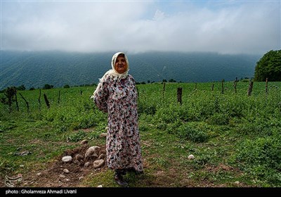 در مسیر بهار -ساری