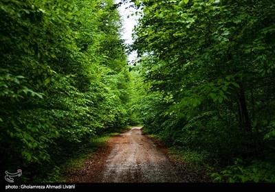 فاصلهٔ تقریبی این دریاچه از شهر ساری ۷۰ کیلومتر و در مسیر جادهٔ ساری - سمنان می‌باشد که در بلندای ۱۳۰۰ متری ازتراز دریا قرار دارد. 