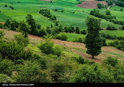 در مسیر بهار -ساری