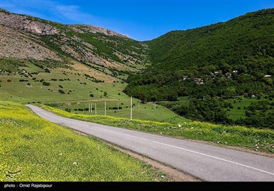 طبیعت بهاری اشکورات گیلان