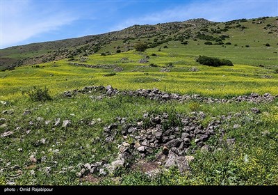 طبیعت بهاری اشکورات گیلان