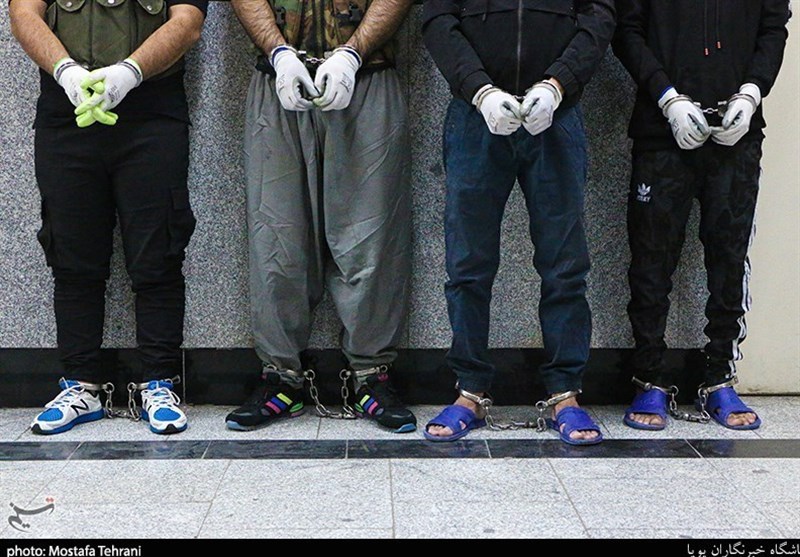 انهدام باند سرقت مسلحانه از دامداری‌های استان تهران
