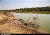 کاهش بارشها و نیاز به مدیریت بهینه آب در ایلام