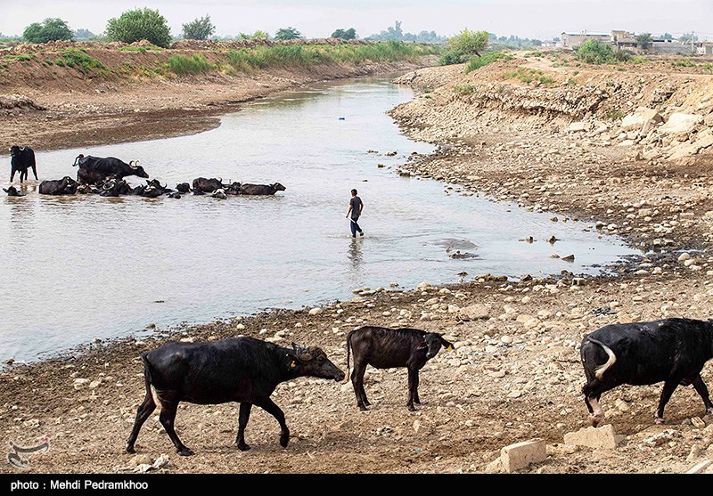 استاندار خوزستان: کشاورزان آسیب دیده 12 هزار میلیارد ریال خسارت دریافت می‌کنند