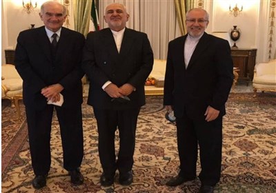  دیدار ظریف با رئیس اتاق بازرگانی مشترک ایتالیا و ایران 