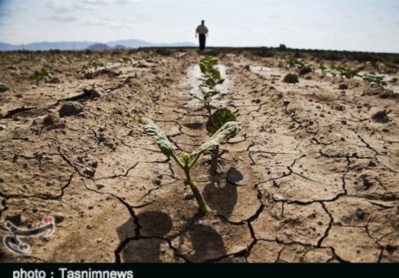 زنگ هشدار خشکسالی بسیار شدید در آران و بیدگل/ تابستانی سخت پیش‌روی کشاورزان قرار دارد