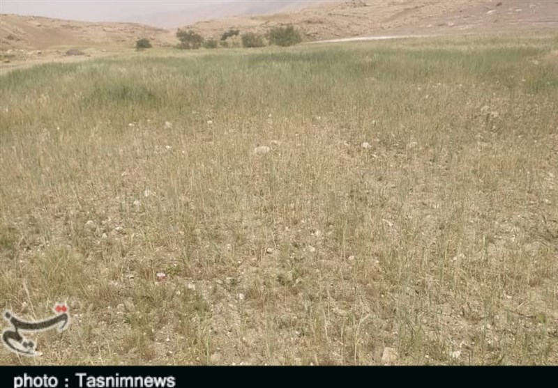 200 میلیارد تومان برای کاهش تنش آبی استان خوزستان اختصاص یافت