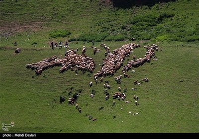 عشایر استان آذربایجان شرقی در قالب ۲ ایل ارسباران و شاه سون و ۱۰ طایفه مستقل تشکیل یافته که همه ساله در فصل ییلاق پذیرای دام‌های ۵ هزار خانوار عشایر میهمان استان‌های همجوار از جمله اردبیل می‌باشد