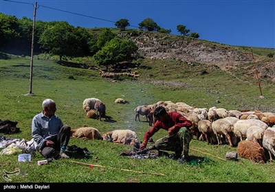 عشایر قره داغ از قشلاق‌های دشت مغان به ویژه شهرستان خدآفرین آغاز می‌شود و در ارتفاعات شهرستان‌های اهر، هریس، ورزقان، سراب و کلیبر پایان می یابد.