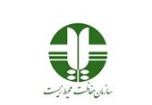 سرپرست اداره کل محیط زیست استان کرمانشاه منصوب شد